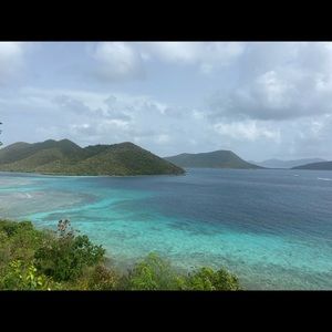 Meet your Posher, Ellie